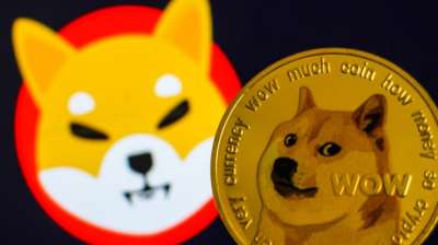 SHIBA INU близок к тому, чтобы превзойти любимую криптовалюту Илона Маска.