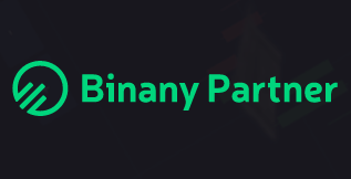Binany partner лого