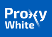 ProxyWhite лого